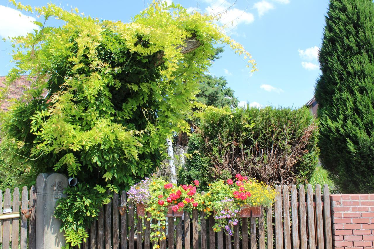 B&B La Tete Dans Les Etoiles Weyersheim Exterior foto