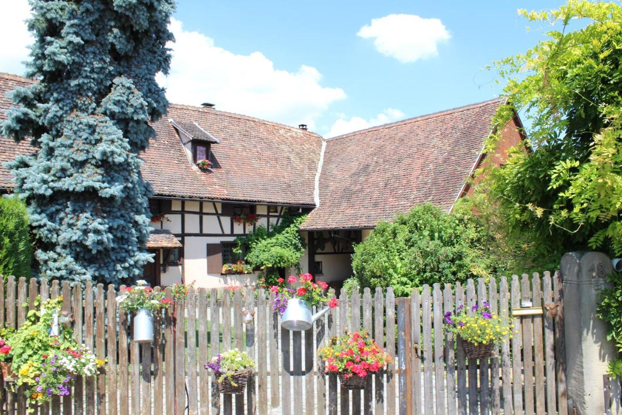 B&B La Tete Dans Les Etoiles Weyersheim Exterior foto